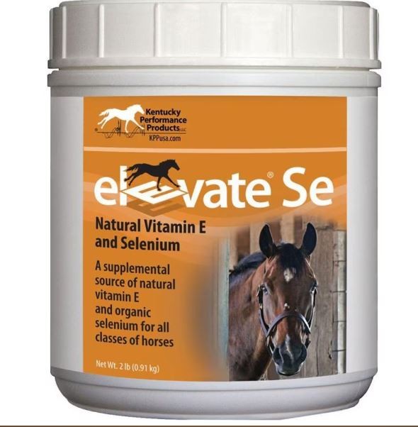 ELEVATE SE VIT E & SELENIUM POWDER