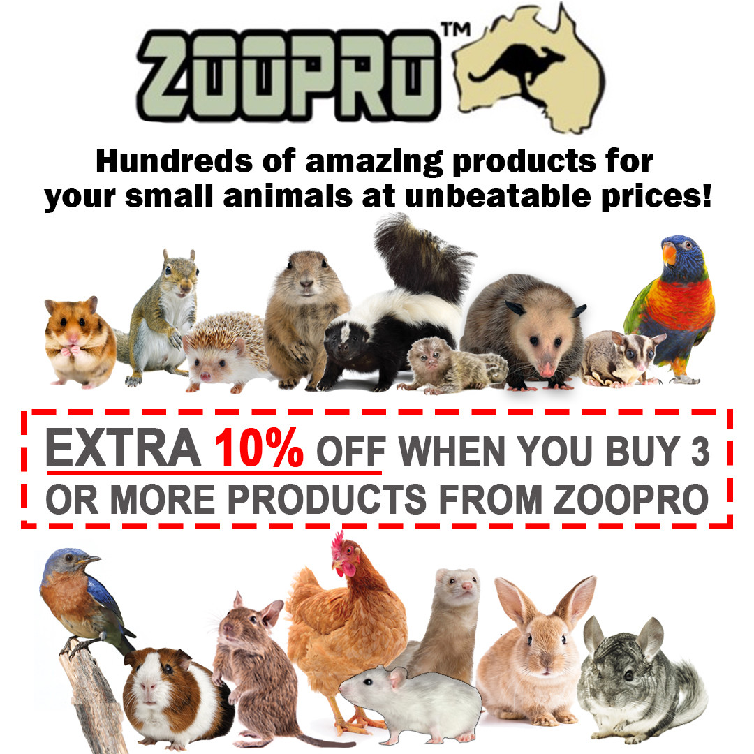 Treadmill Wheel 14" Black - Flying Saucer Pet Exercise Wheel - Durable All Metal