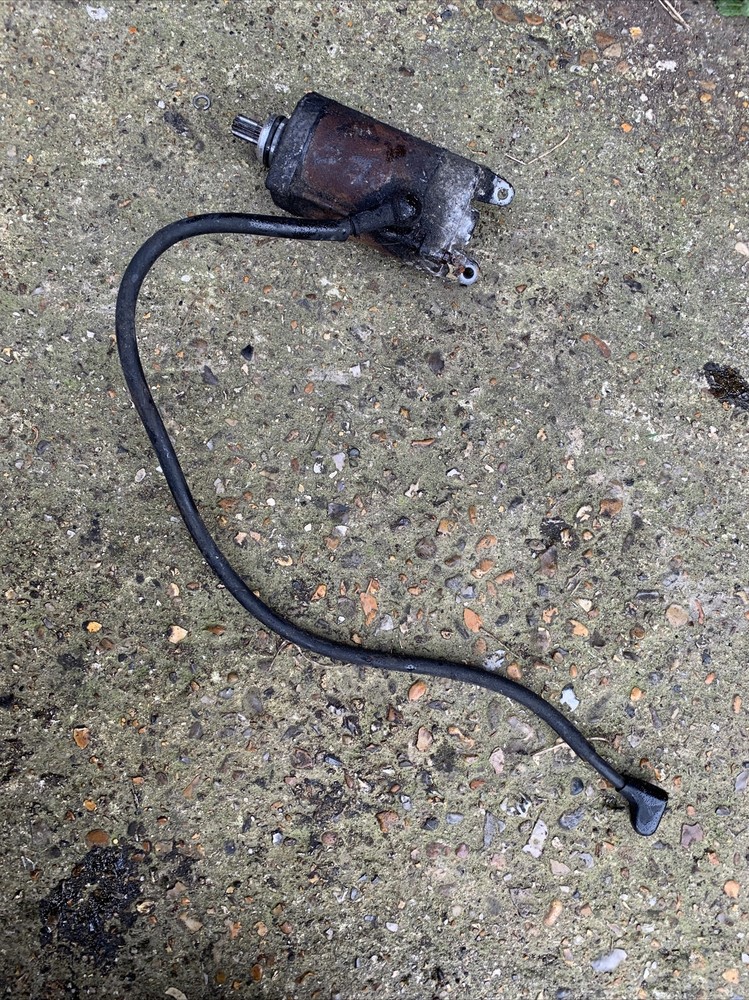 Honda NTV600 Starter Motor