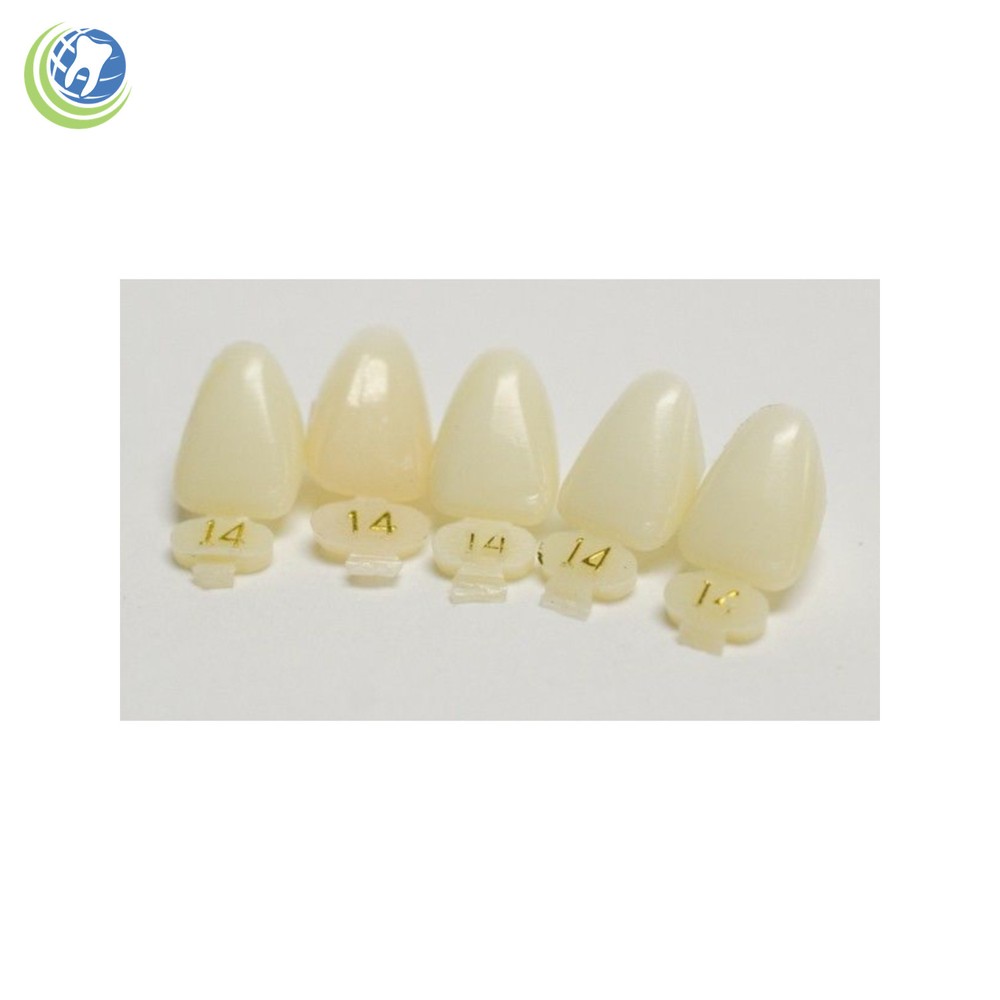 DENTAL POLYCARBONATE TEMPORARY CROWNS #14 (URC) UPPER RIGHT CENTRAL 5/PACK