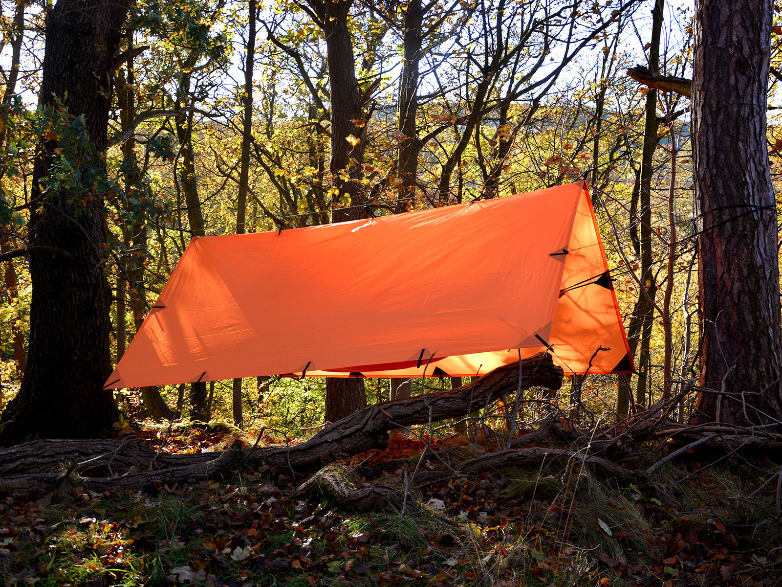 DD Tarp 3x3: Lightweight Waterproof Tough Shelter for Camping Bushcraft & Hiking