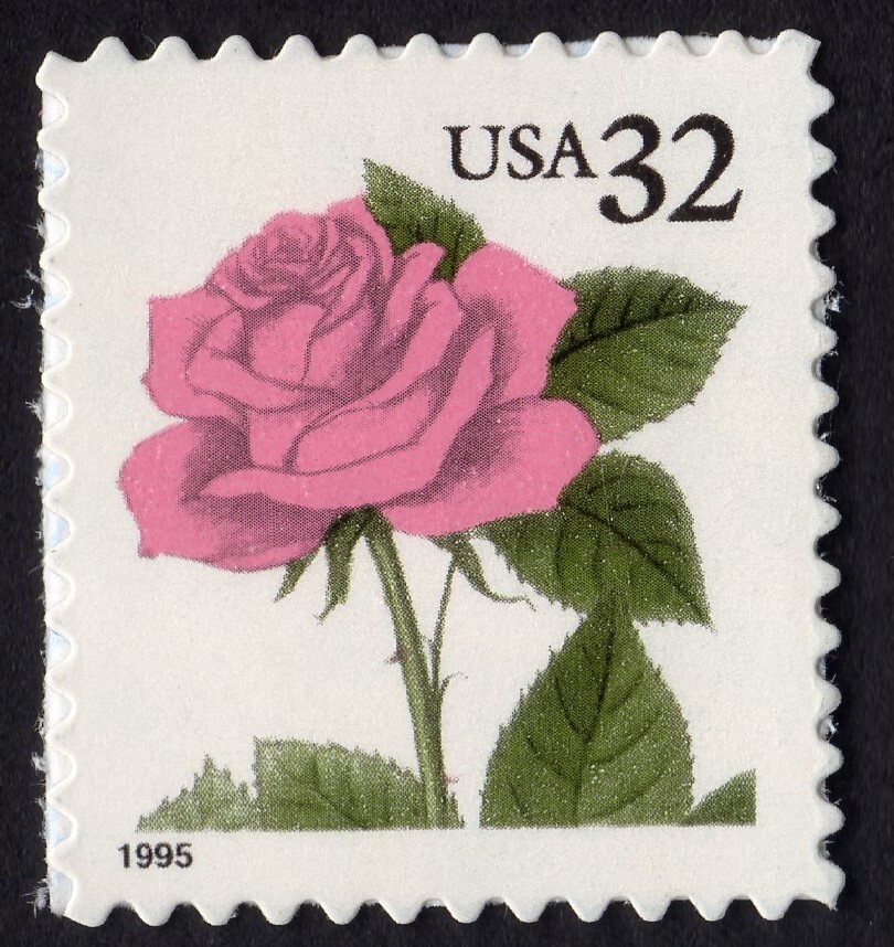 Scott #2492 32¢ Pink Rose Single Stamp - MNH