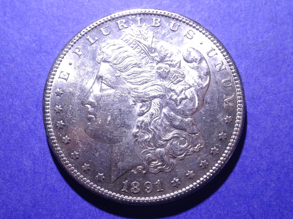 1891-S Morgan Dollar  Borderline Uncirculated