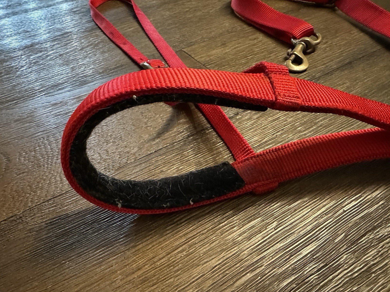 Horse Tack - Red Weaver Western Tie Down Noseband & Strap
