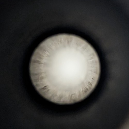 NEF H&R Topper SB1 12 GA 27-1/2" Barrel, 3" Chamber