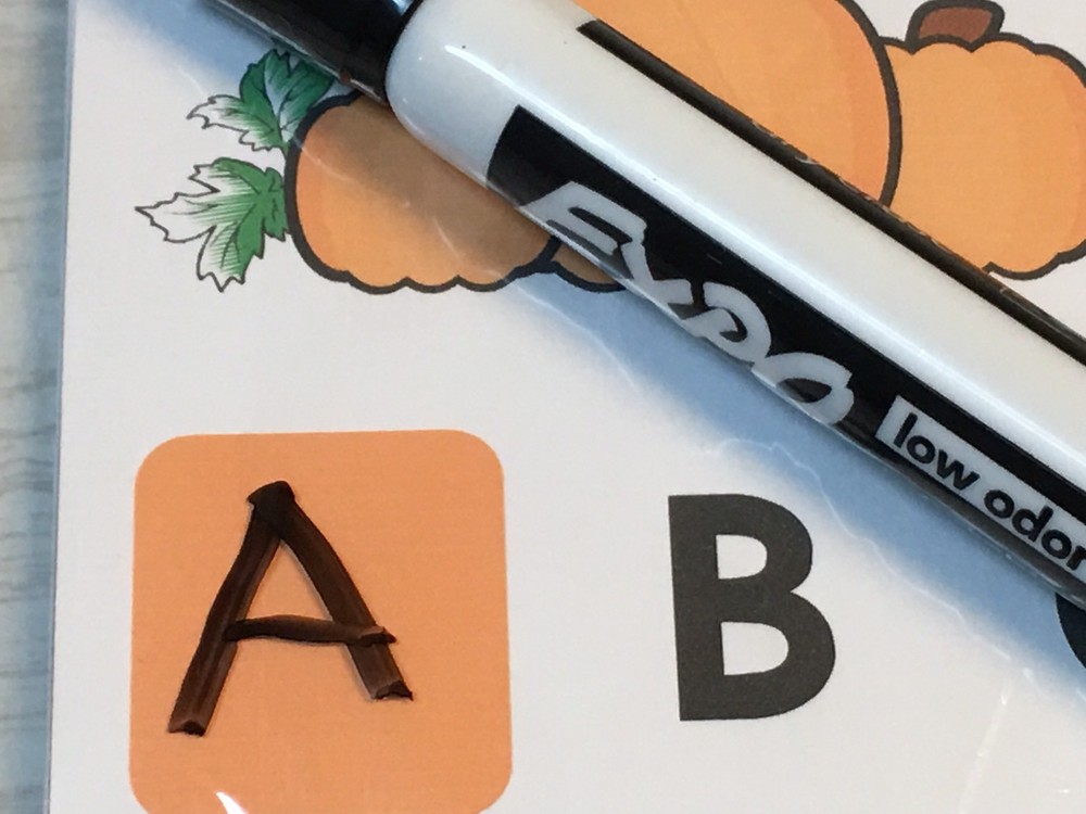 Pumpkin Patch Dry Erase - Laminated Activity Set - Missing Letters