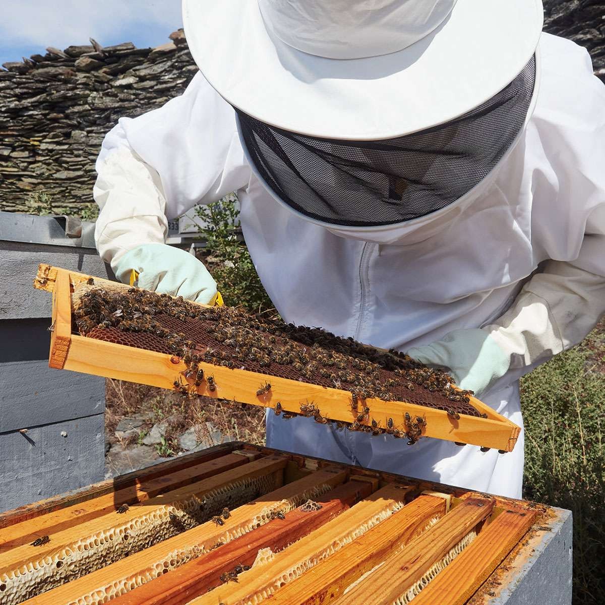 Beekeeping Gloves Goatskin Bee Keeping with Vented Beekeeper Long Sleeve protect