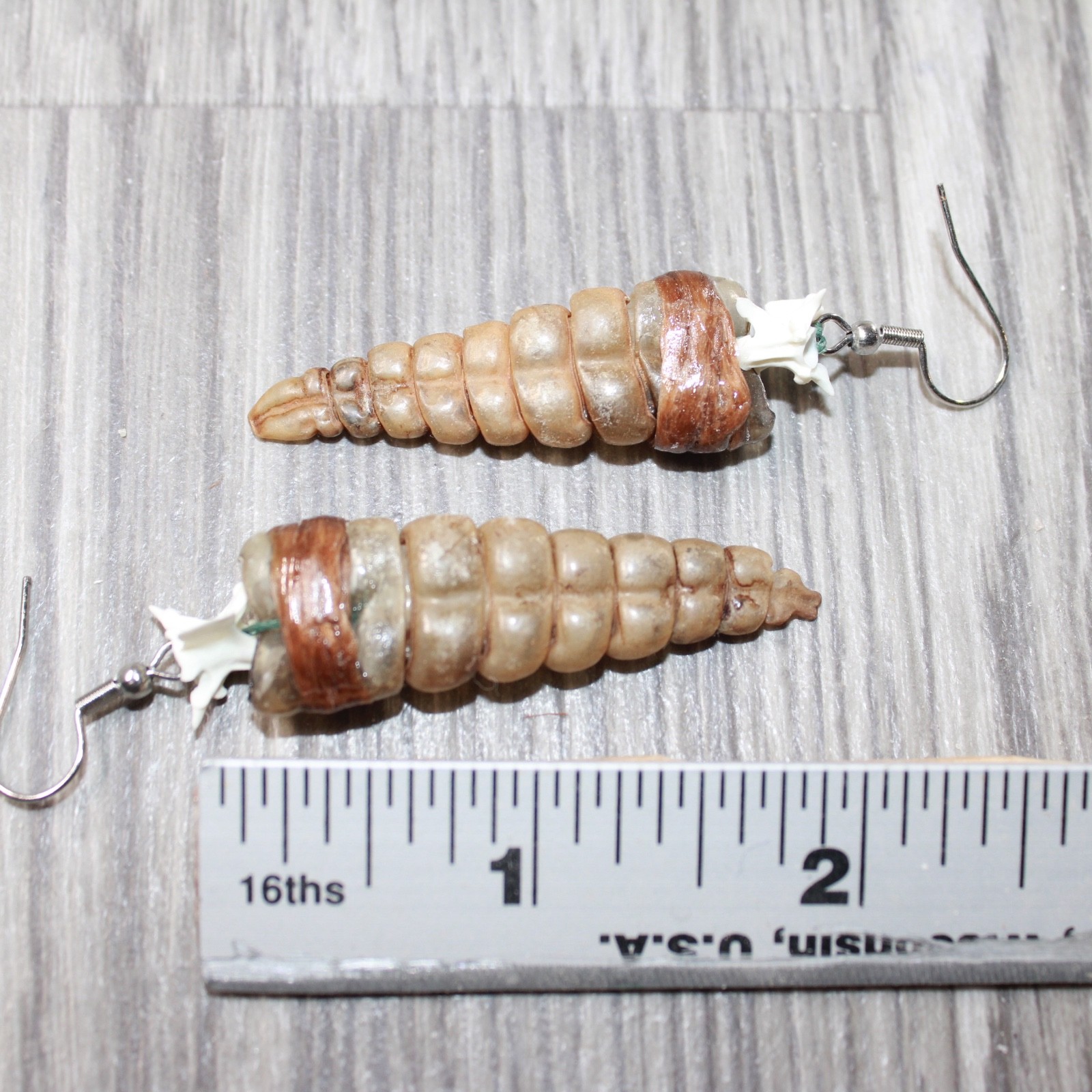 Large Rattlesnake Rattle Earrings #4562 Mountain Man Earrings