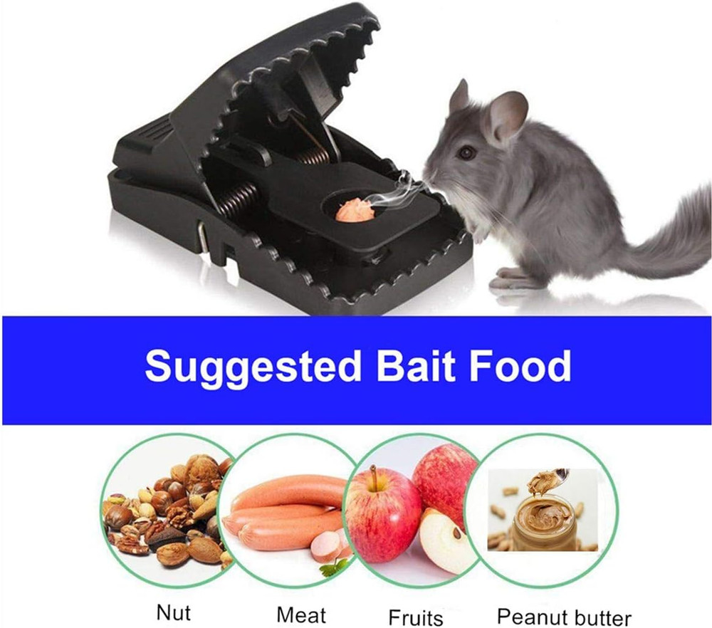 Mouse Trap, Mice Traps That Work Best Snap Traps for Small Mice and Mouse