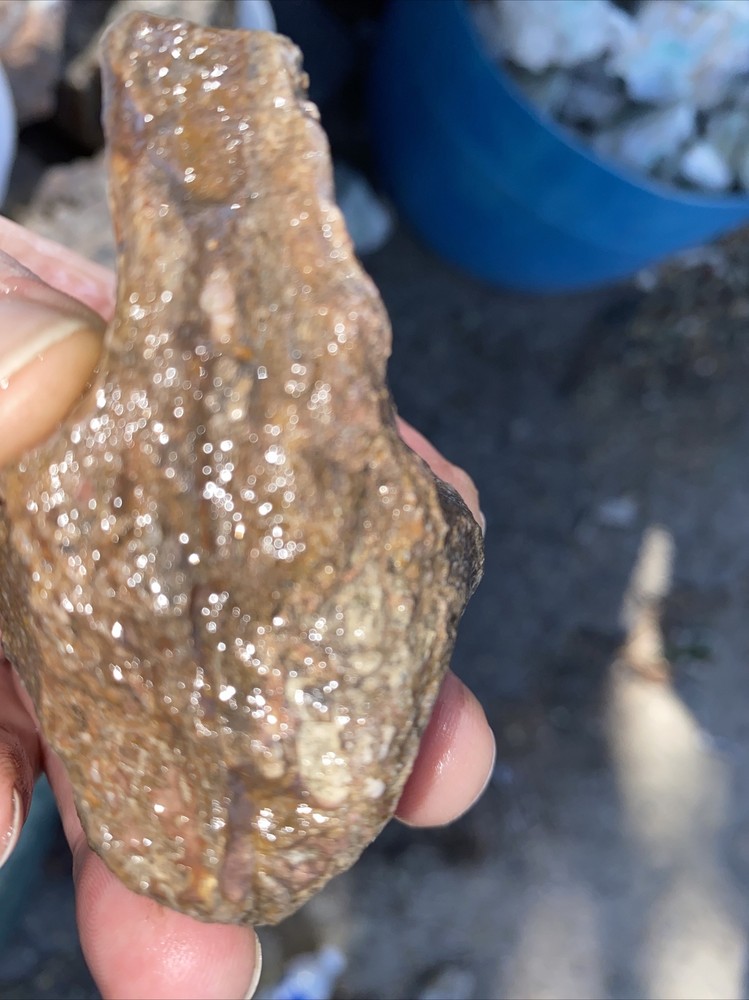 Structural dinosaur bone