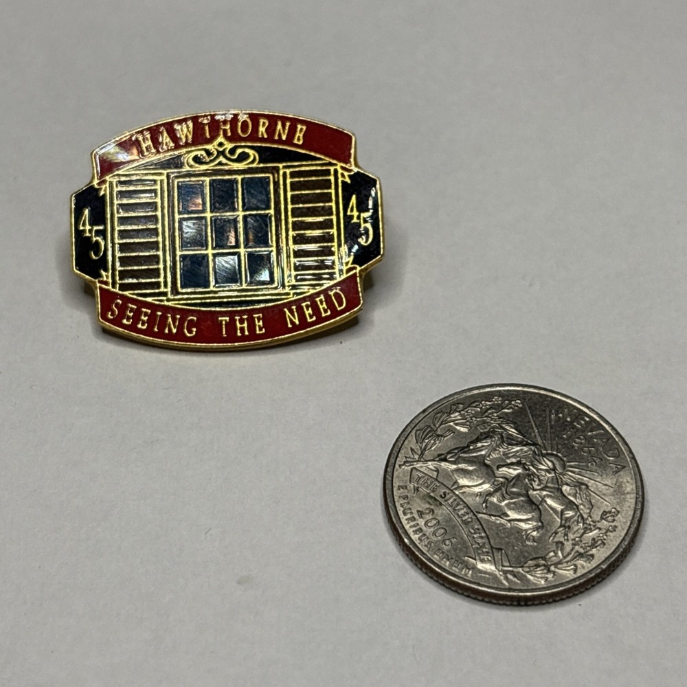 Lapel Pin - Hawthorne Seeing The Need S67