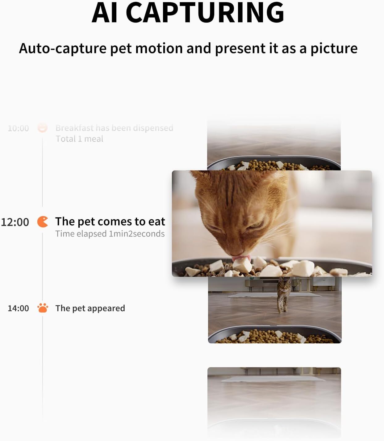 PETKIT Automatic Pet Feeder 2.4G WiFi Cat Dog Food Dispen 5L, APP Control