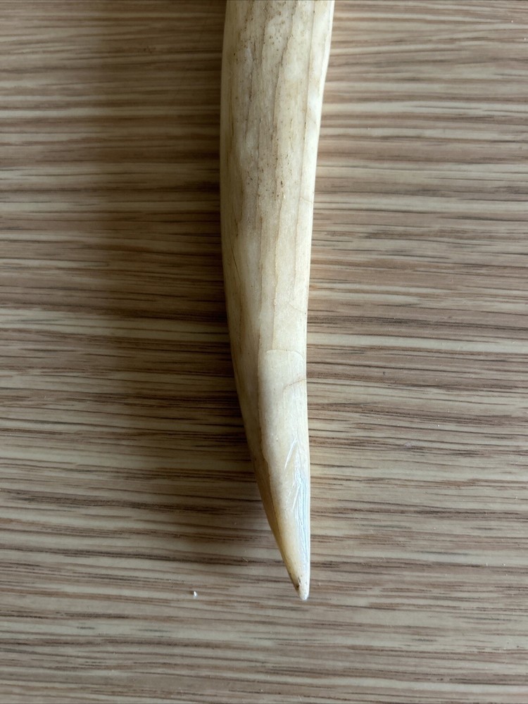 Antique Custom Made Bone Knife From New Guinea