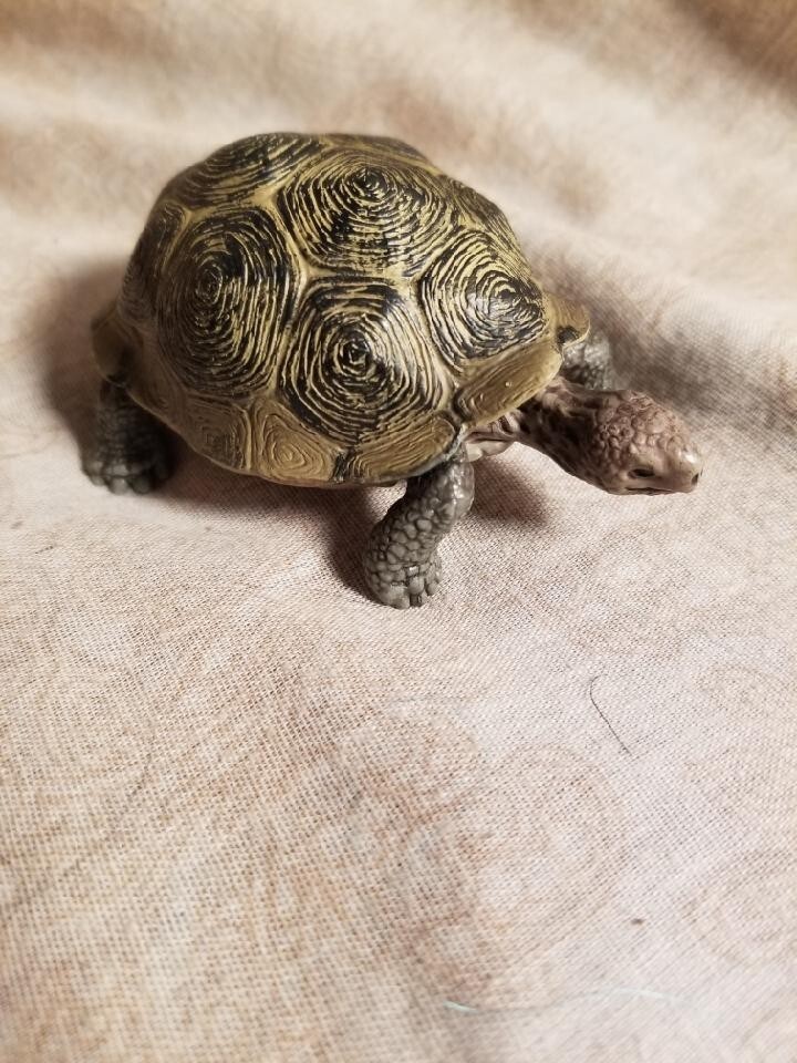 2008 3"  Schleich Tortoise