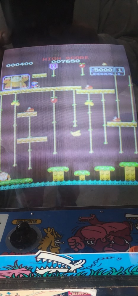 Donkey Kong Jr Arcade