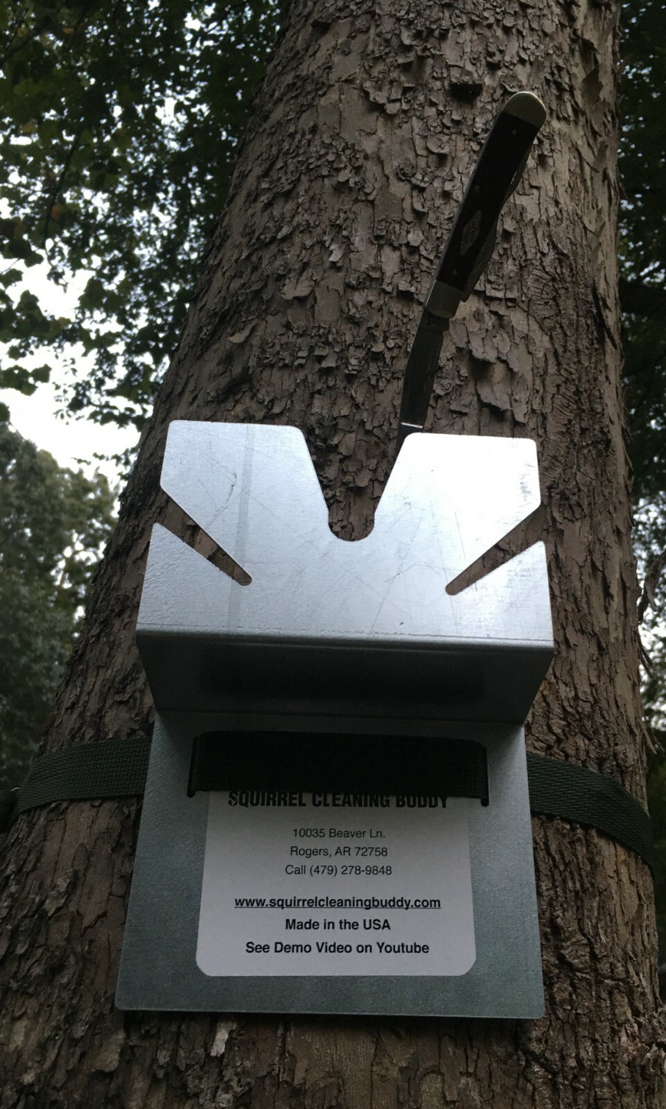 Squirrel Cleaning Buddy