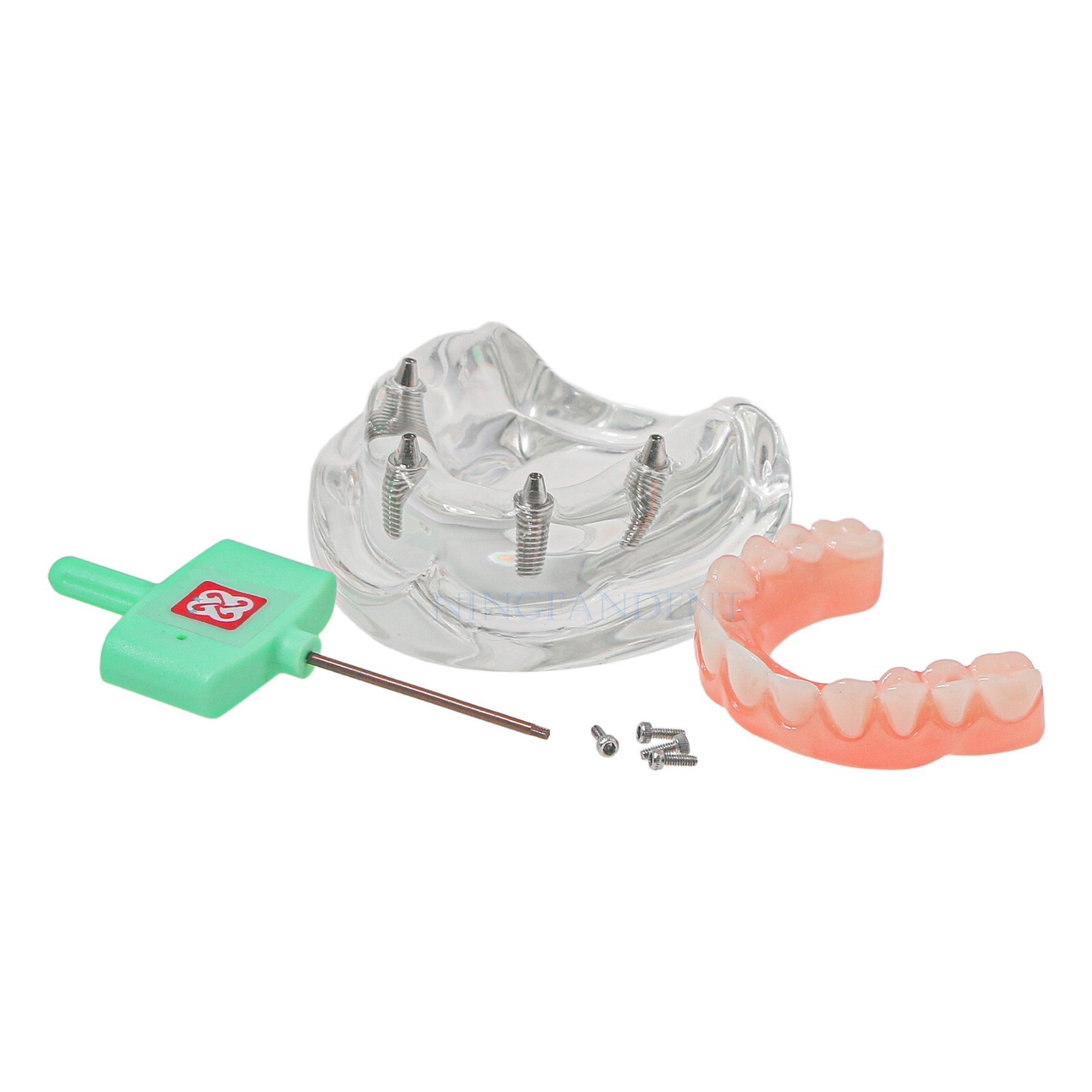 US Dental All-on-4 Overdenture treatment Implant Model Upper 4 Implants Clear
