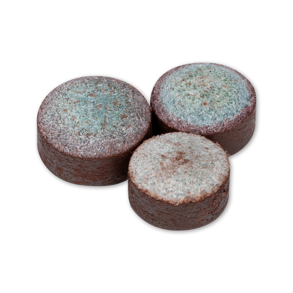 Triangle QTTRIA1 Cue Tip Single