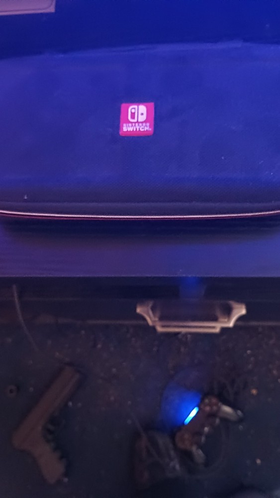 Nintendo Switch Carrying Case