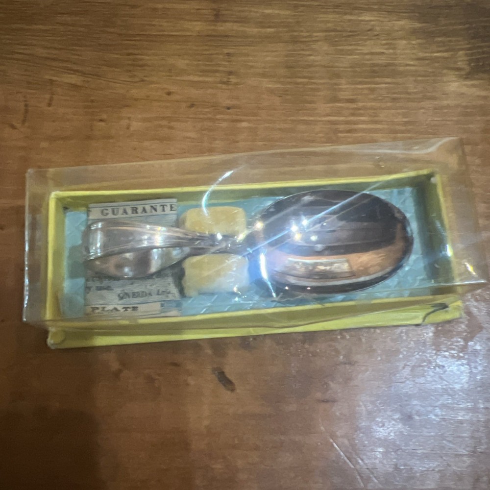 Oneida Large Silver Plated Spoon TUDOR Plate Community