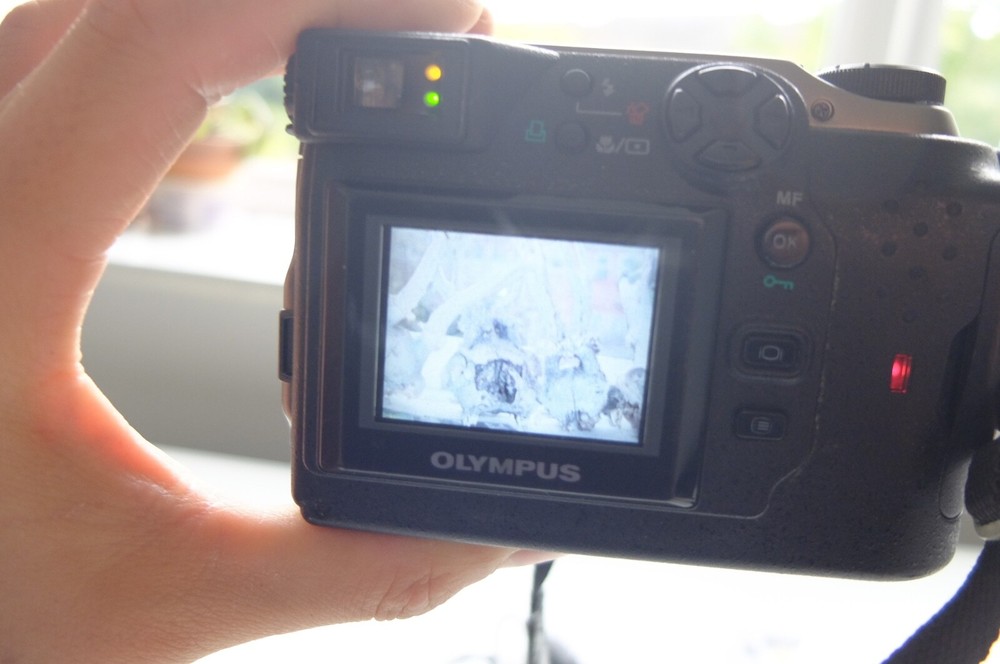 Olympus Digital Camera Camedia C-3000 Zoom Fully functional