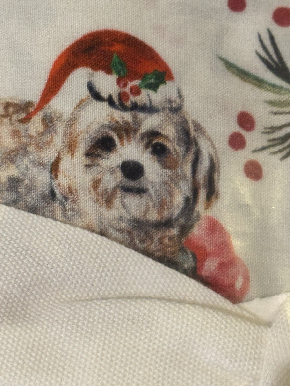 Pottery Barn Christmas Dog Printed Pillowcases, Multi, King, Set of 2
