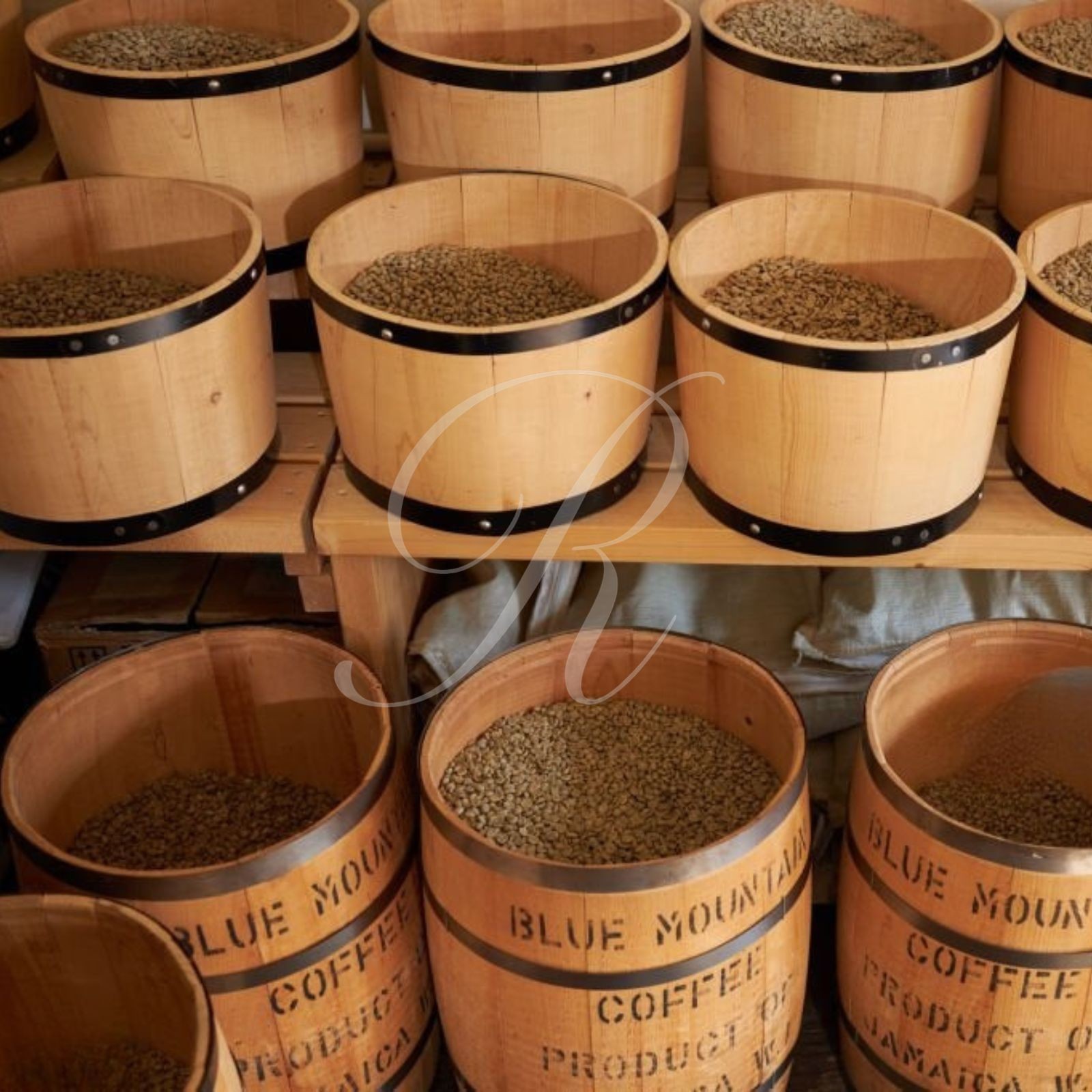 100% JAMAICA BLUE MOUNTAIN COFFEE | CUSTOM ROASTED | 1 - 20 POUNDS IN 1 LB BAGS