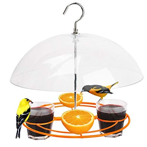 Solution4Patio Baltimore Oriole Feeder, Orange Halves Fruit & Grape