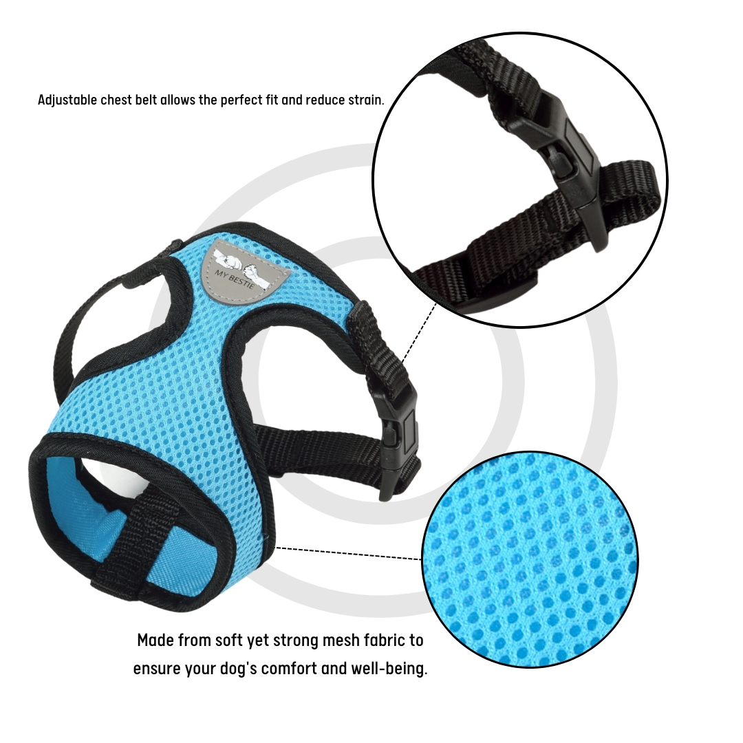 Breathable Harness, Leash & Collar Set (Blue) - XS