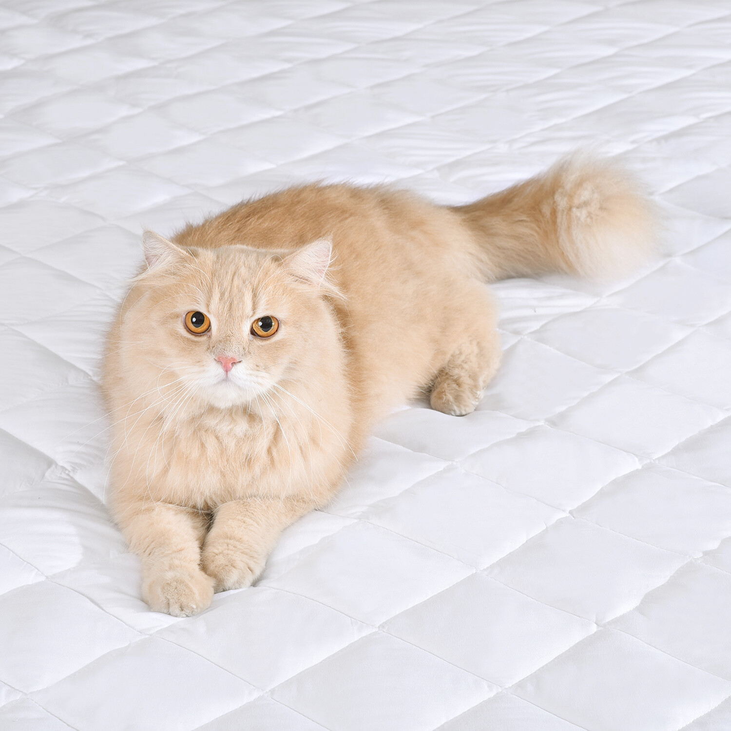 Fitted Mattress Pad Deep Pocket Cooling Breathable Mattress Pad Topper Protector