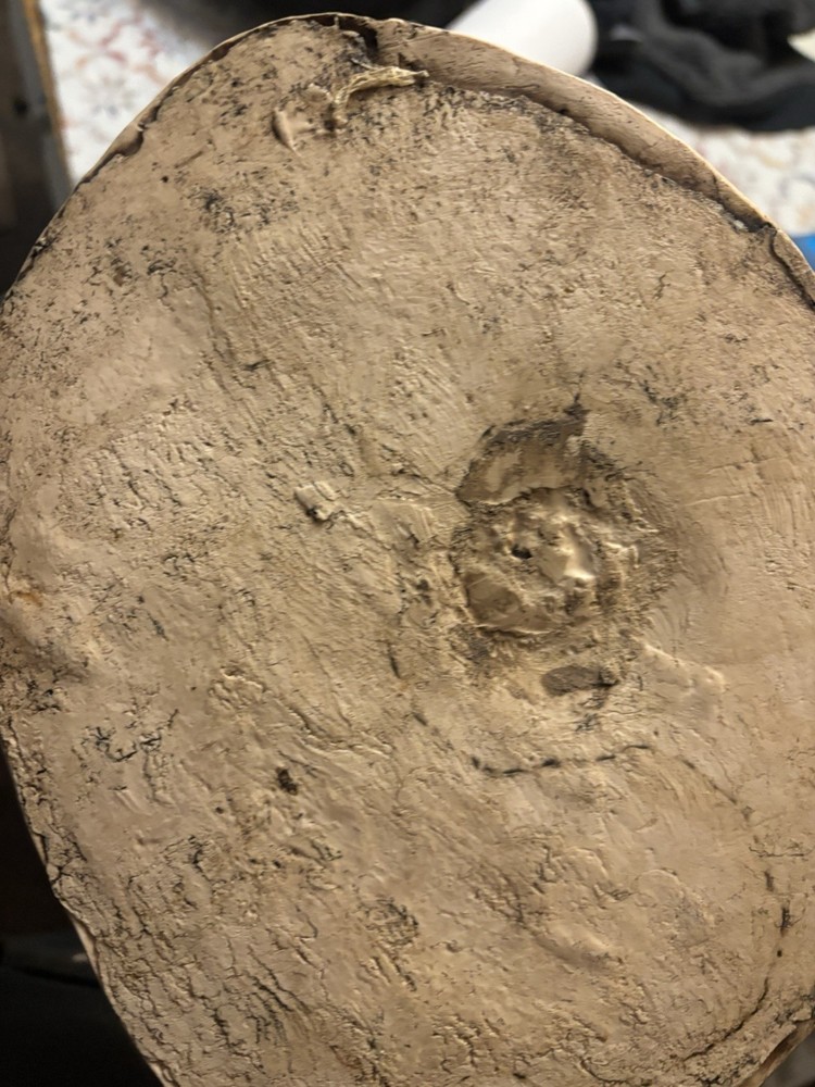 Alien Vs. Predator: Alien Defeated By Predator Statue