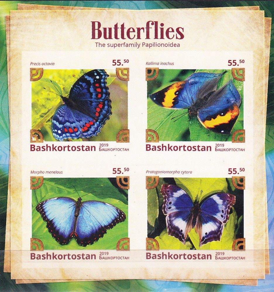 W BASHKORTOSTAN Y2019 (10) BUTTERFLIES
