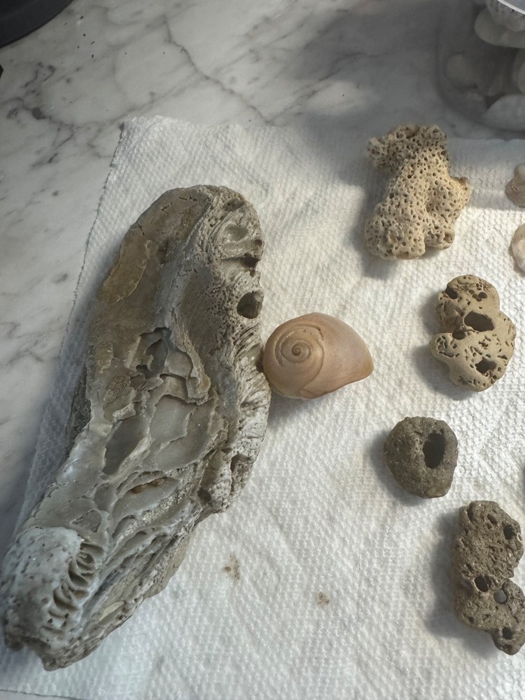 hag stones