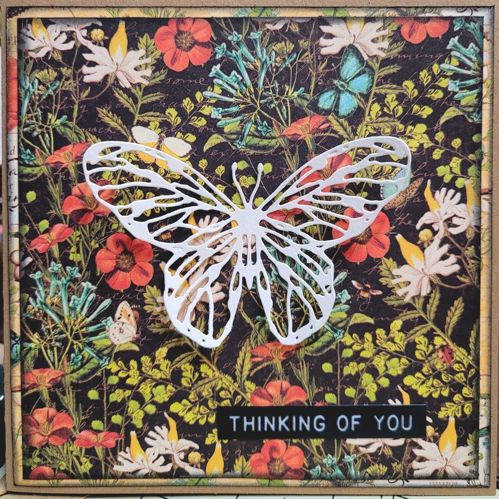 Sizzix Thinlits Scribbly Butterflies 4-PK set #664409 Retail $22.99 by Tim Holtz