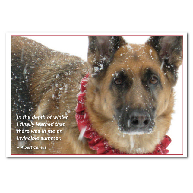 german Shepherd refrigerator magnet