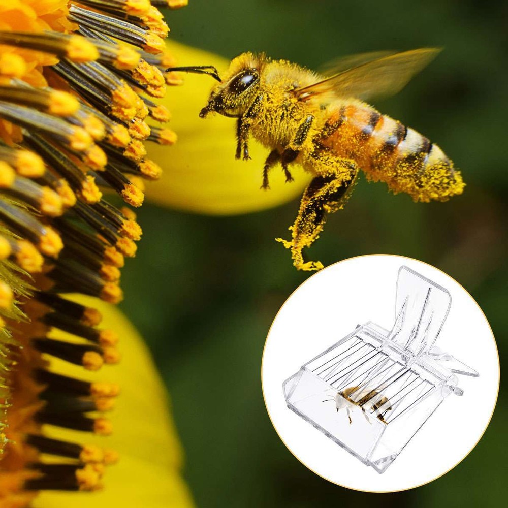 5PCS Beekeeping Queen Bee Cage Catcher Clips Plastic Transparent Set