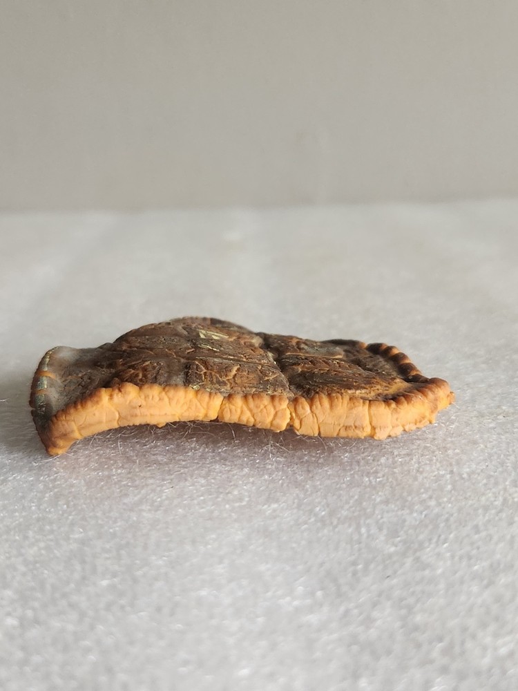 Artificial Rubber Turtle Shell Life-like • 3"×2⅞"