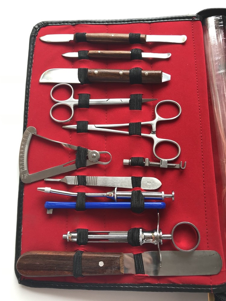 DENTAL SURGICAL ORAL EXTRACTION SURGERY FORCEPS ELEVATORS INSTRUMENTS KIT 61 PCS