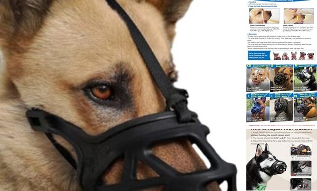 Dog Muzzle, Breathable Basket Muzzles for Small, Large and X Medium Black