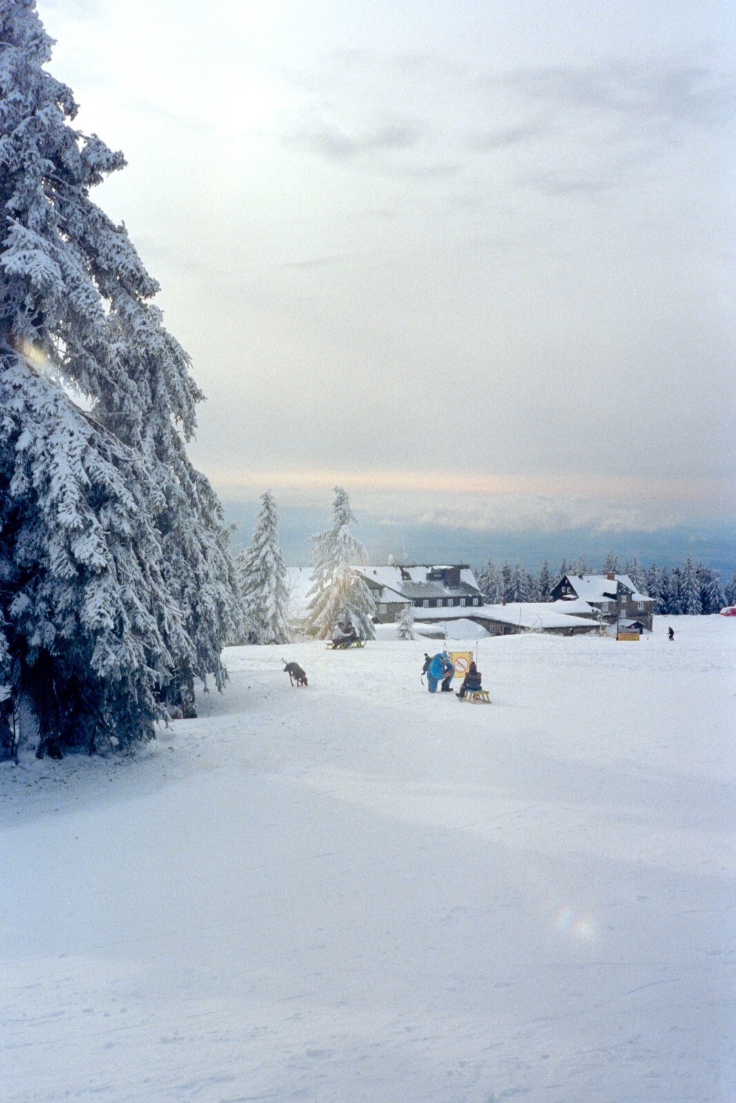 30m Dealer's V3 500T, RESPOOLED Kodak Vision 3 AHU, NO REMJET C41 35mm Film Bulk