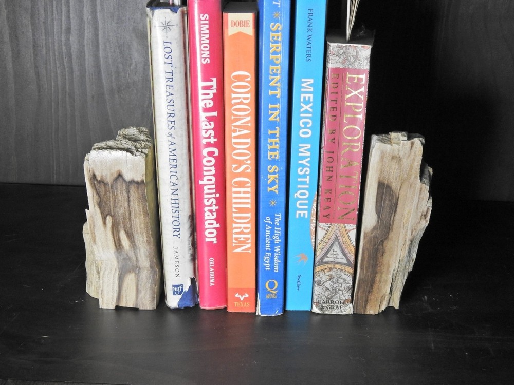 Book Ends Petrified Wood