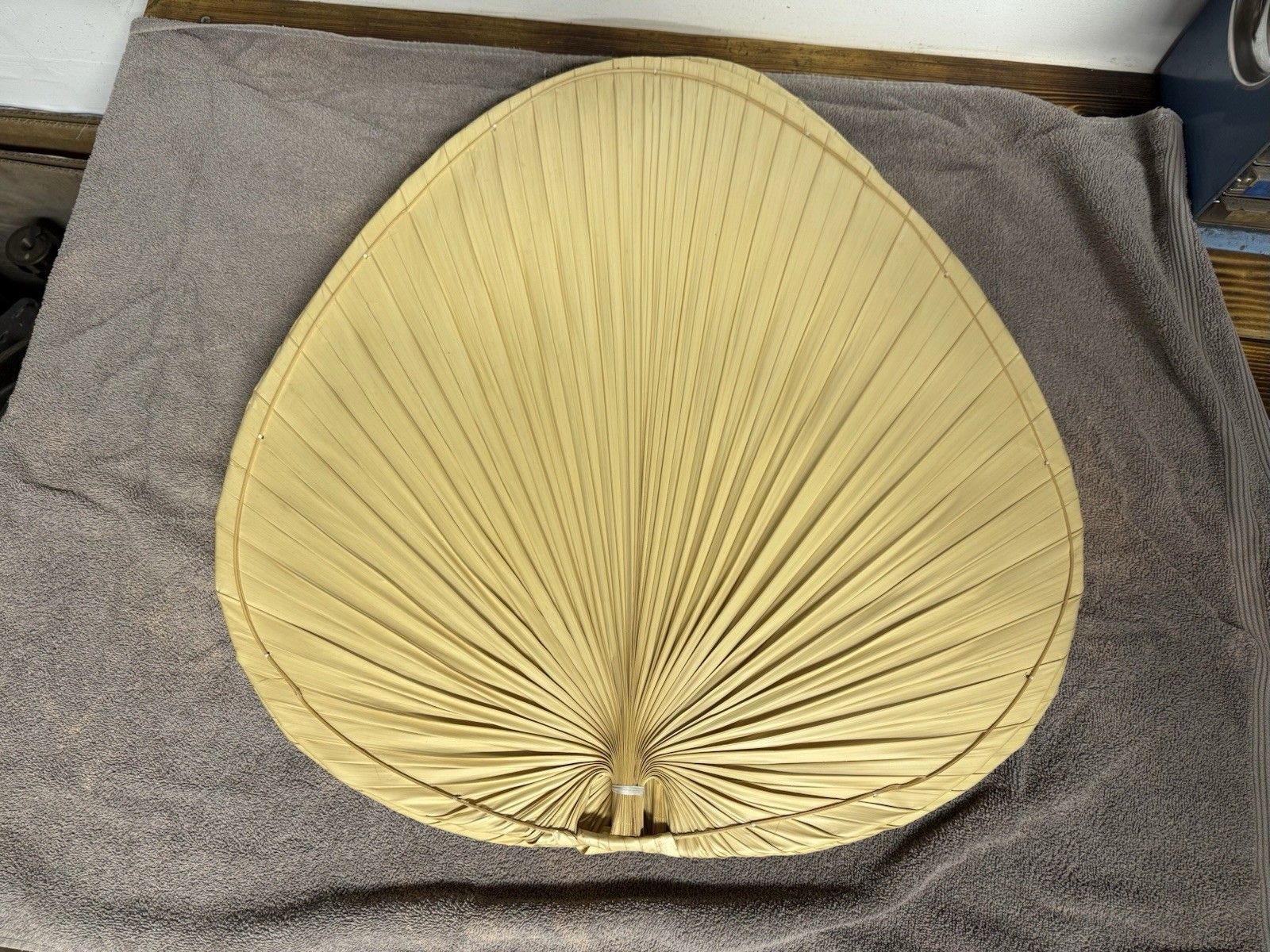 Fanimation Islander Natural Palm Blade 52” Ceiling Fan