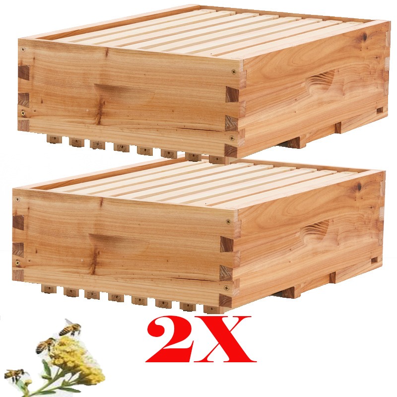 2X Beehive 10 Frame Add-On Super with 20 Frames Langstroth Beekeeping