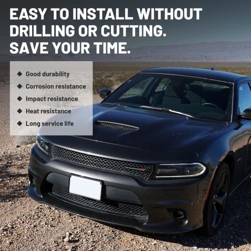 Front Bumper Lip Splitter Protector Compatible with Dodge Charger Pink