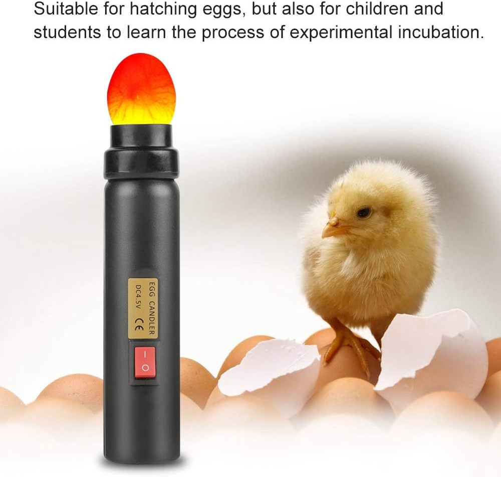 LED Egg Hatching Test Light, High LED Chicken Egg Candler Mini Egg Tester Pen...
