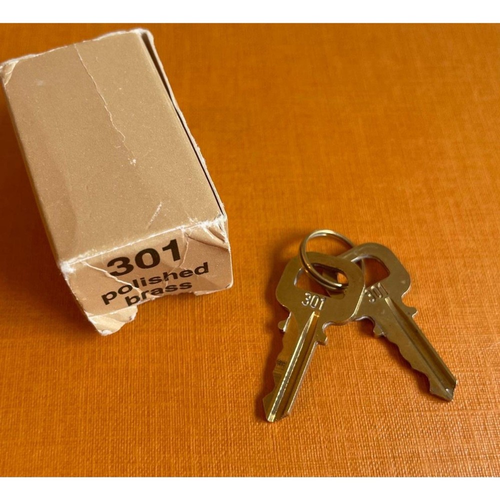 Louis Vuitton 2 Keys #301
