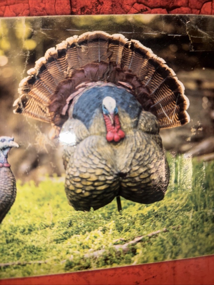 Flextone Thunder Creeper Strutter Decoy Turkey Decoy