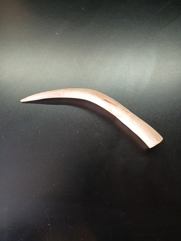 Knapping Tool,  Deer Antler Tine