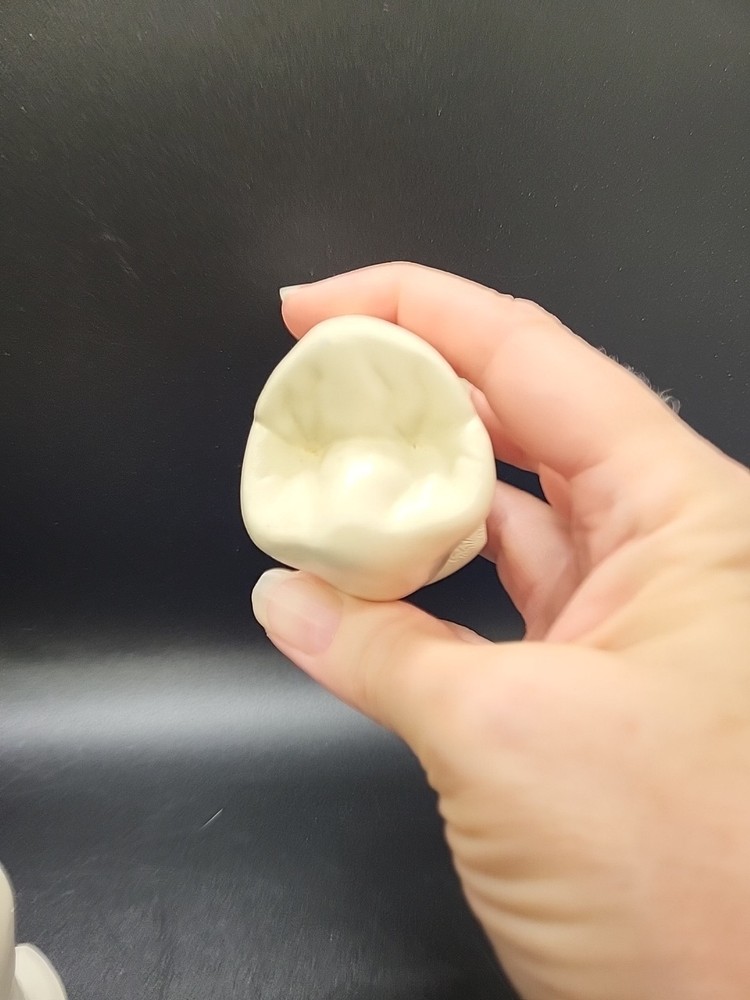 Two Weird Tooth Models 1970's