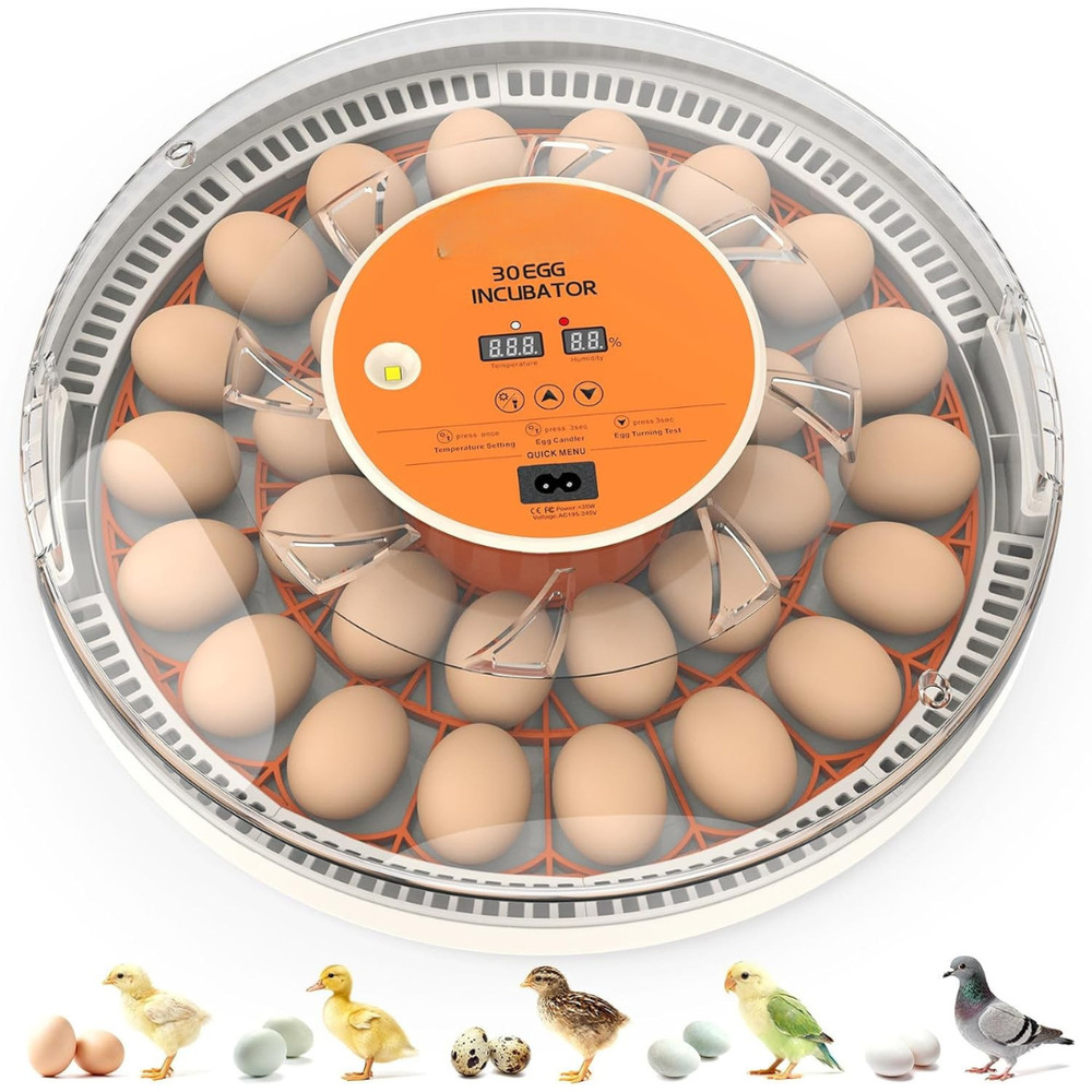 Automatic Egg Incubators W/ Turner Temperature Control LED Candling 360° 30 Egg